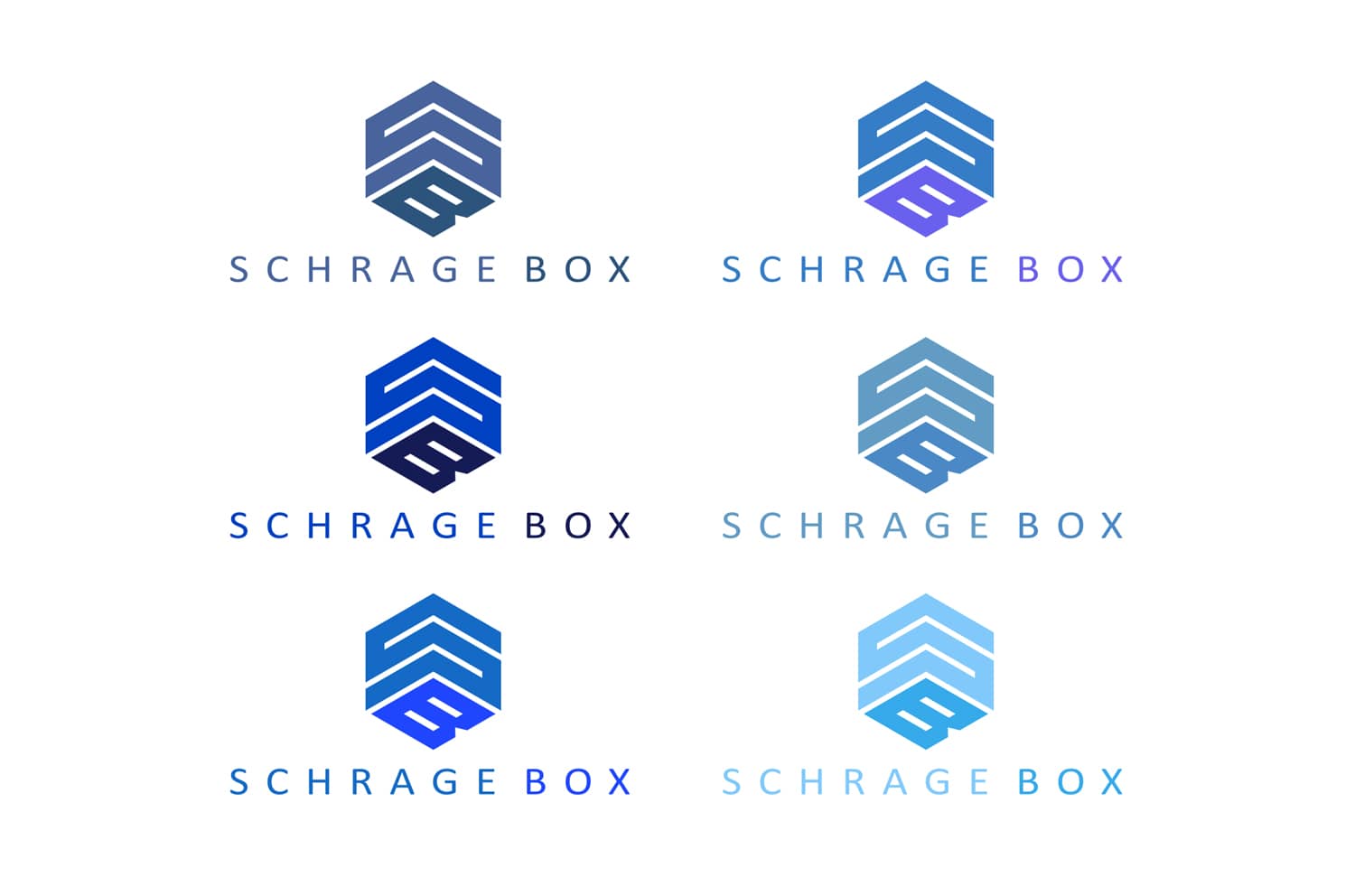 RDC-Design-Group-Schrage-Box-Logo-Design-Color-Treatments