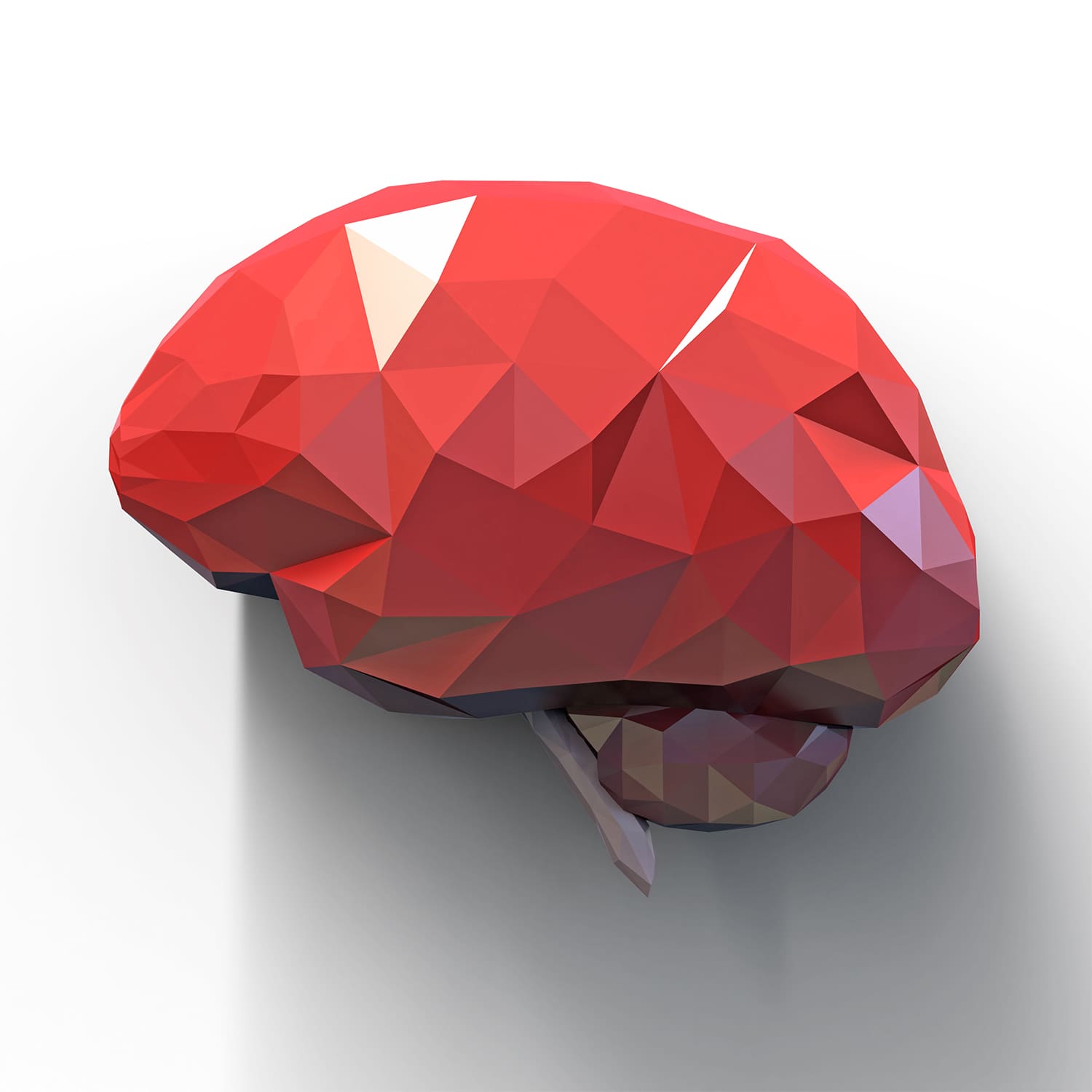 rdc design group custom 3d faceted organ icons - graphic design - brain