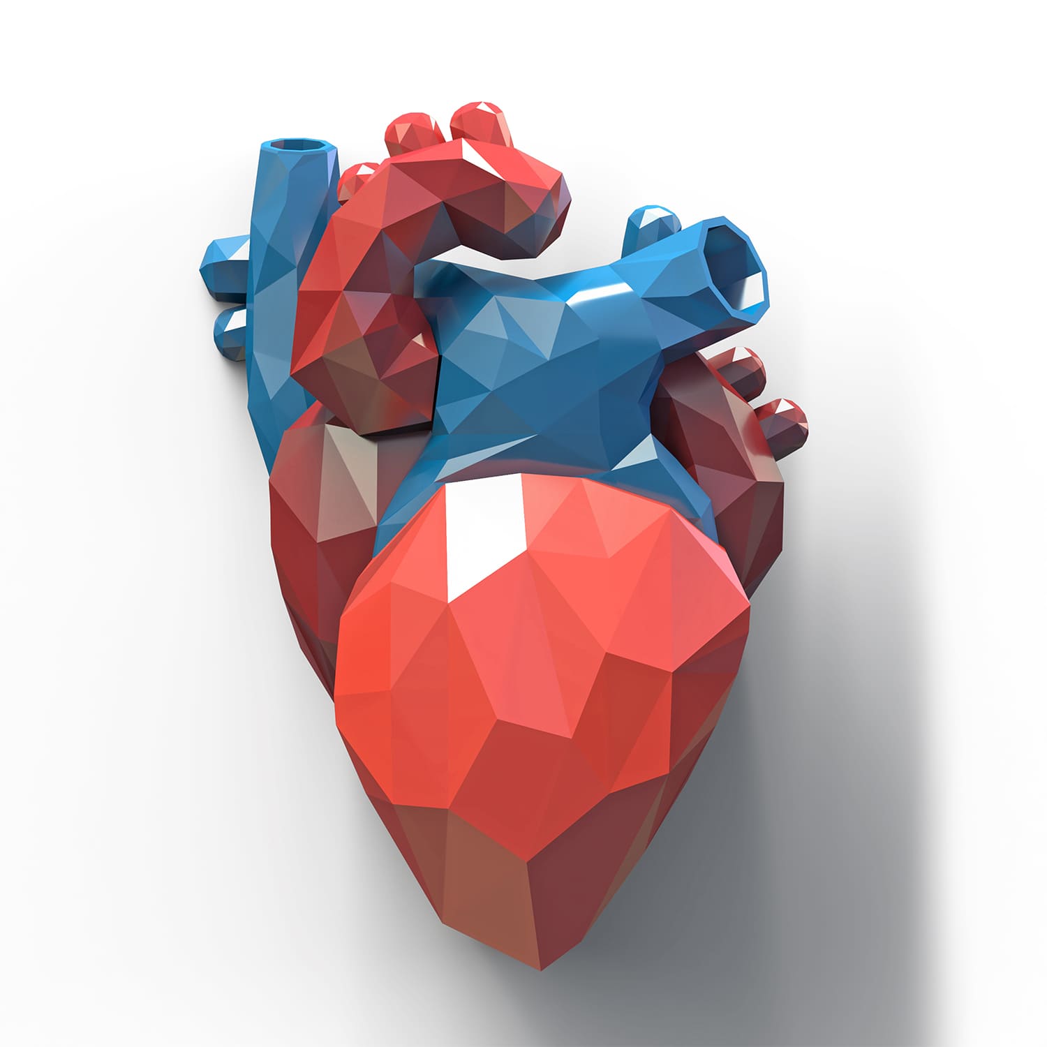 rdc design group custom 3d faceted organ icons - graphic design - heart