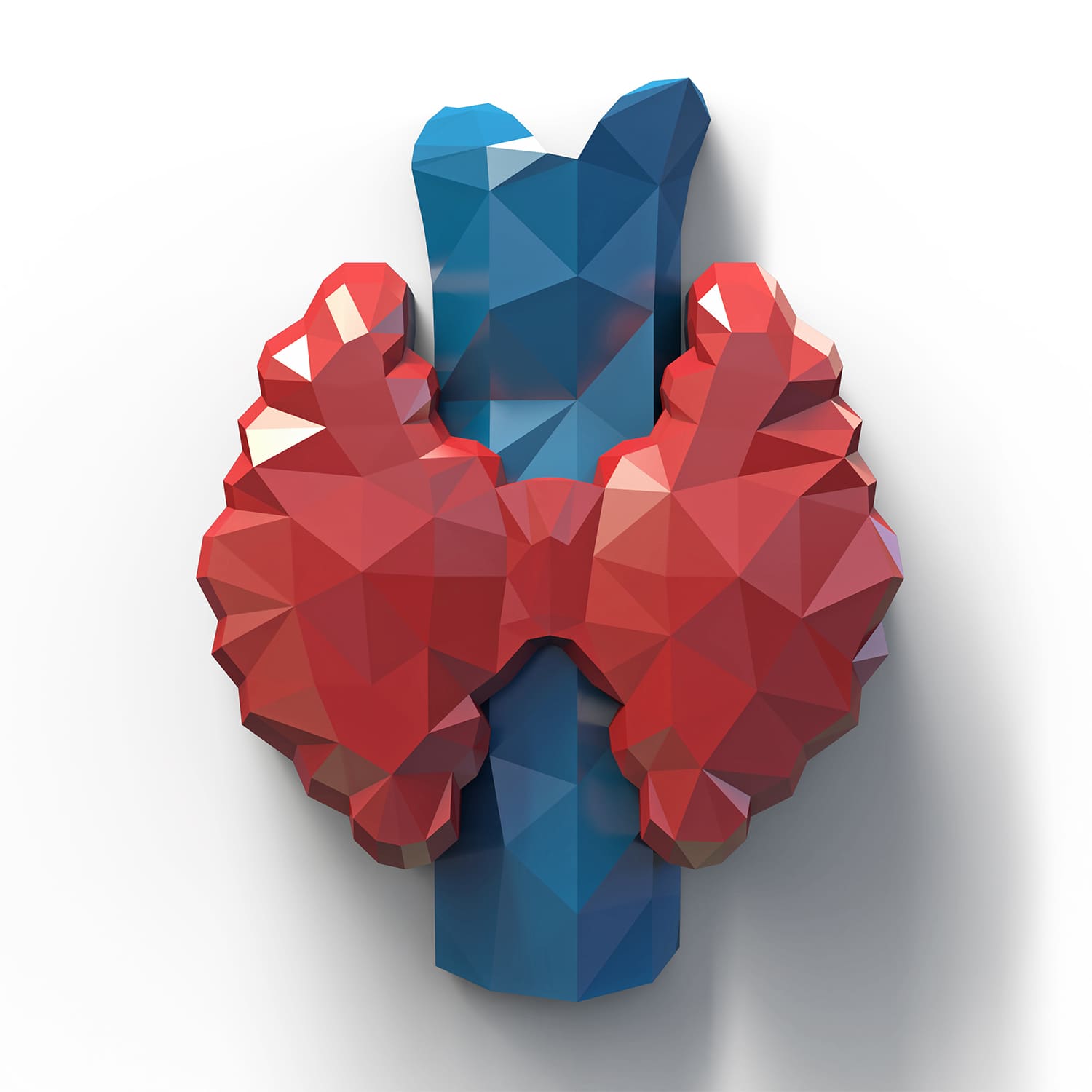 rdc design group custom 3d faceted organ icons - graphic design - hormone