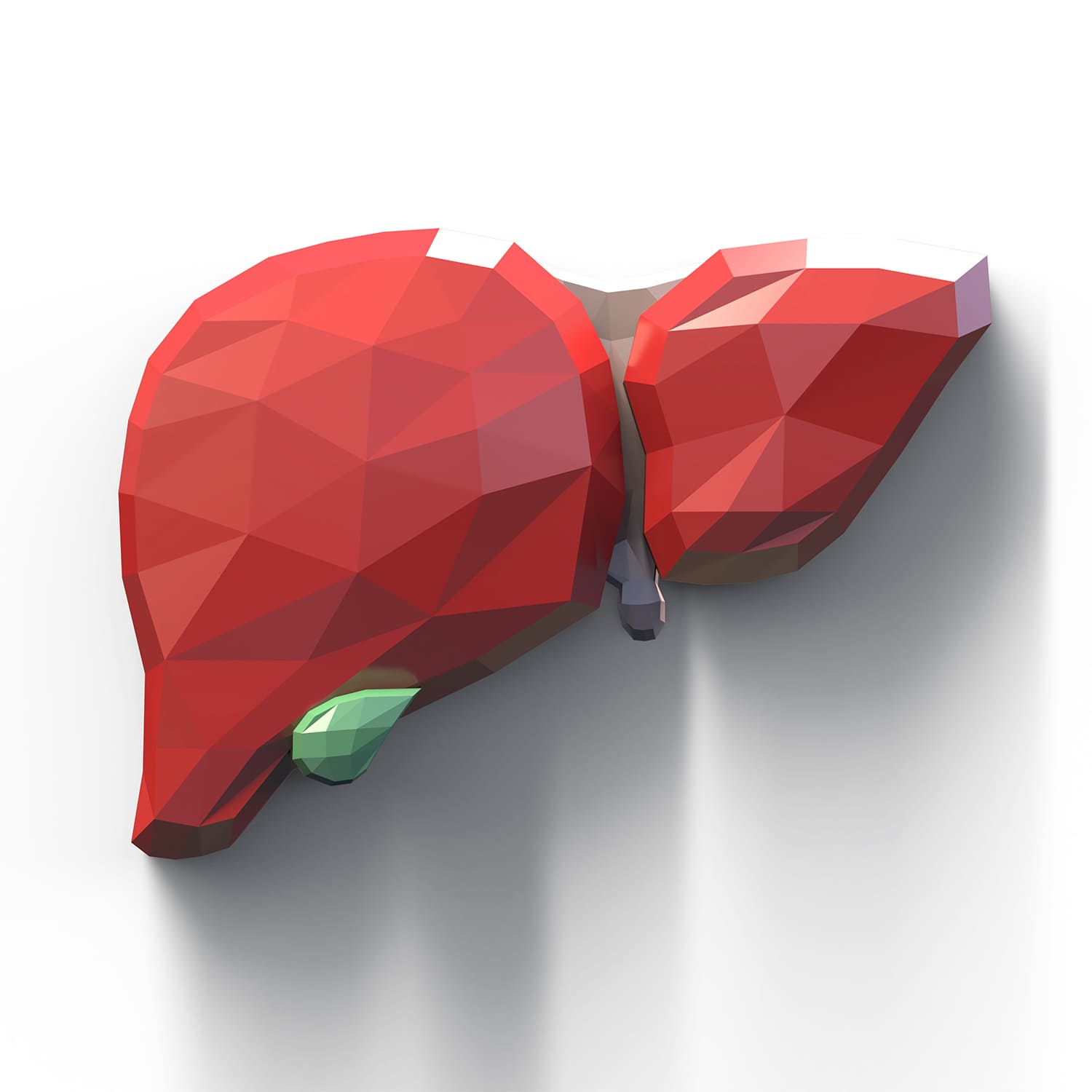 rdc design group custom 3d faceted organ icons - graphic design - liver