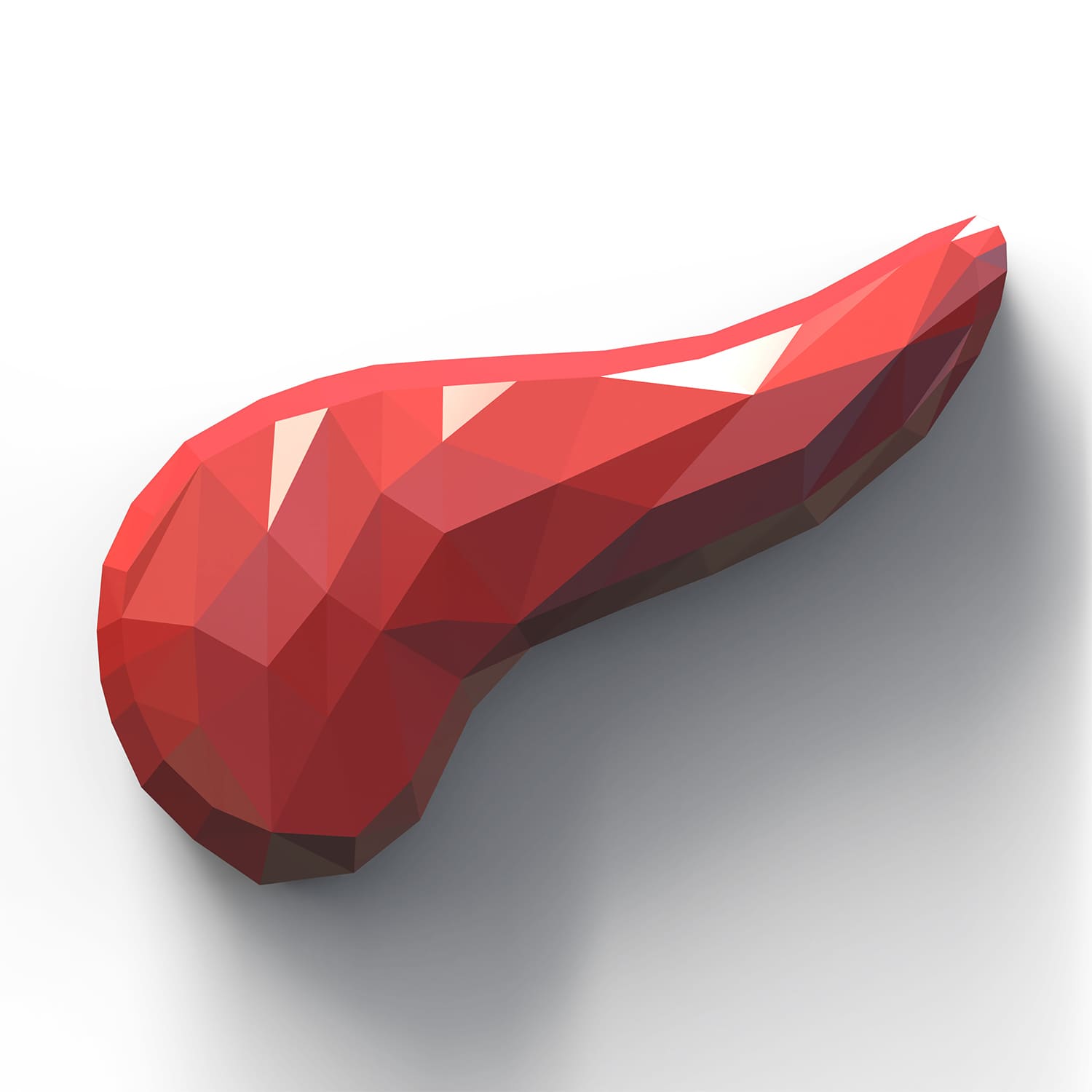 rdc design group custom 3d faceted organ icons - graphic design - pancreas
