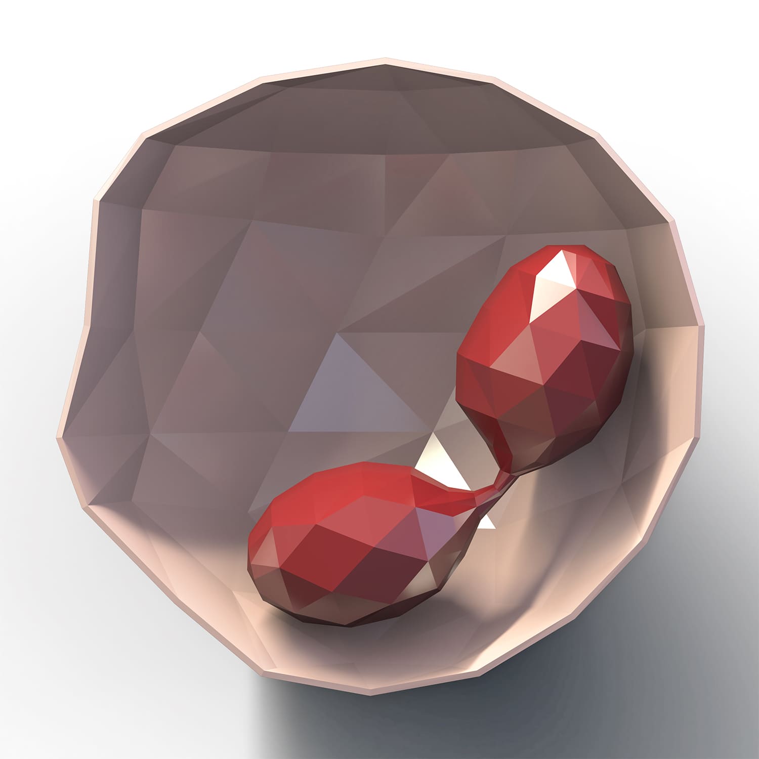 rdc design group custom 3d faceted organ icons - graphic design - white blood cell